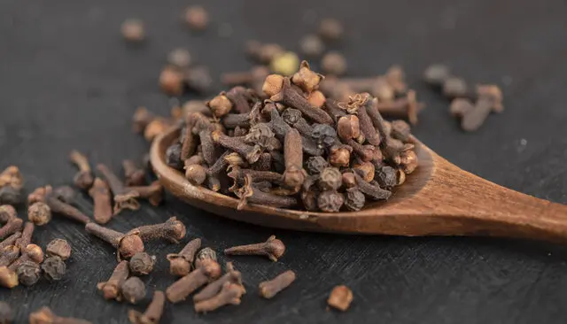 Clavo de olor, ideal para sazonar carnes, panes y bebidas tradicionales. Calidad garantizada en Estrella del Sur Puebla.