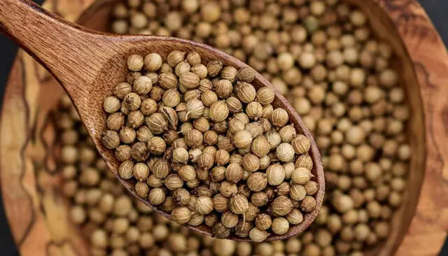 Cilantro seco, ideal para dar sabor a tus platillos. En Estrella del Sur Puebla, ofrecemos hierbas de la más alta calidad.